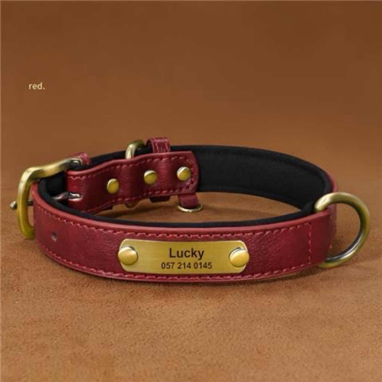 EngravedLeatherPoochPendant (Personalized Dog Collars)