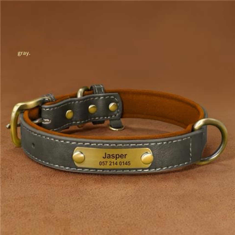 EngravedLeatherPoochPendant (Personalized Dog Collars)